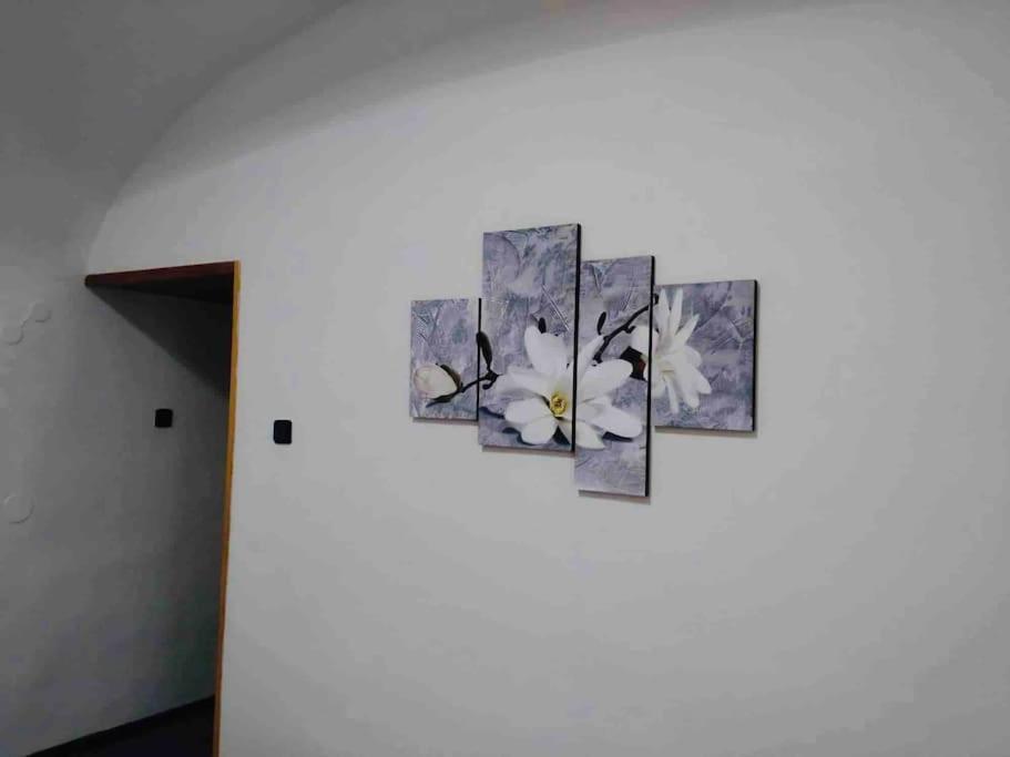 פראג K&P Apartment In The Center מראה חיצוני תמונה